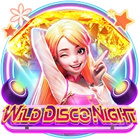 Wild Disco Night