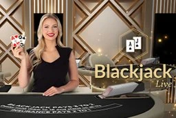 Blackjack VIP 14