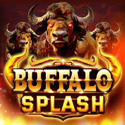 Buffalo Splash